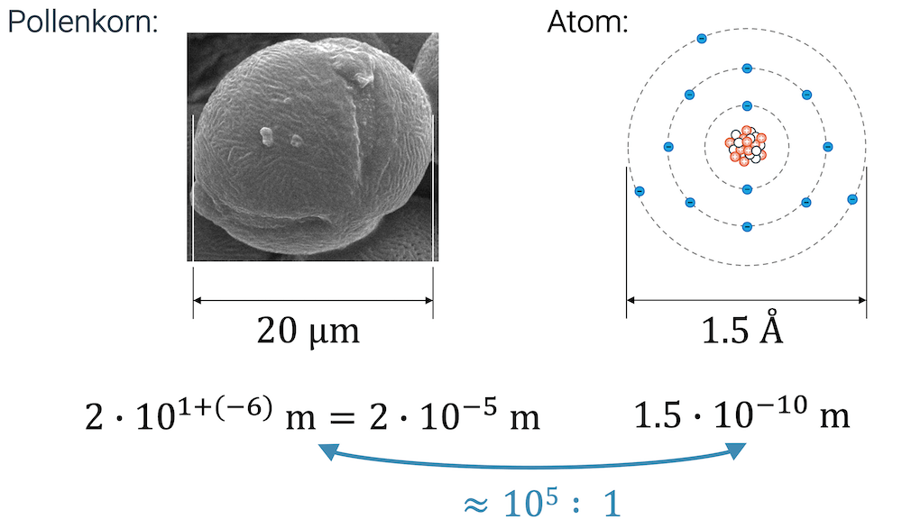 Grössenvergleich Atom und Pollenkorn (Brownsche Bewegung)
