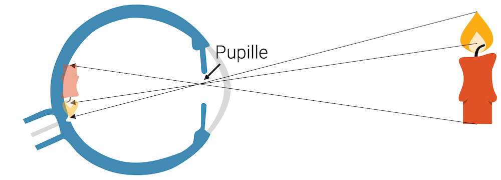 Prinzip der Camera Obscura (Lochkamera) beim vereinfachten Auge