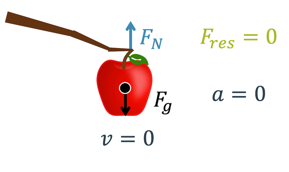 Der Apfel am Baum hat potenzielle Energie, bleibt aber oben, weil er im Kräftegleichgewicht ist