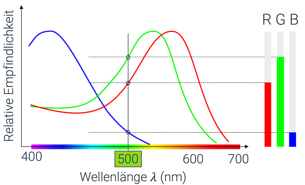 Farbsehen (Zapfen, RGB)